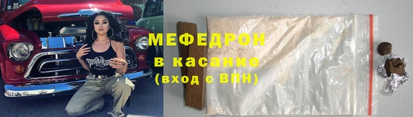 индика Абаза