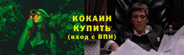 индика Абаза