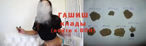 индика Абаза