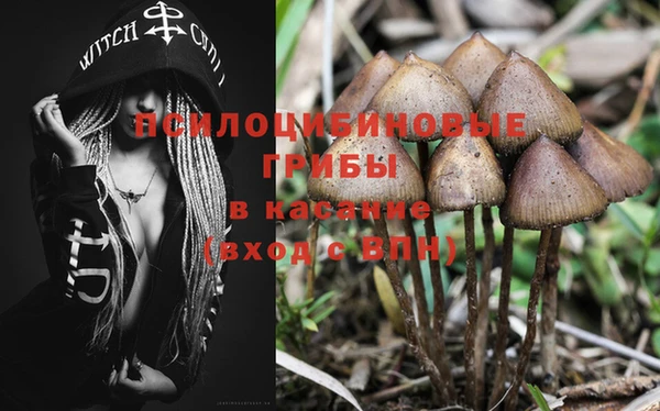прущие крисы Осташков