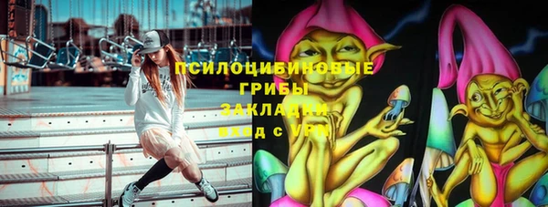 индика Абаза