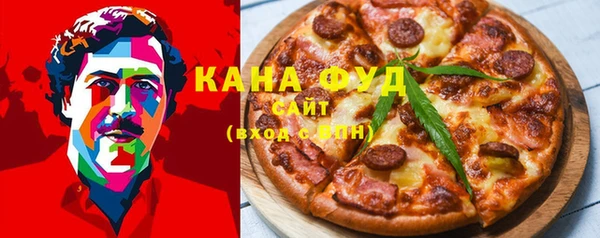 индика Абаза