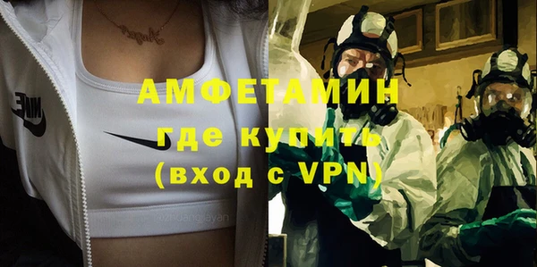 индика Абаза