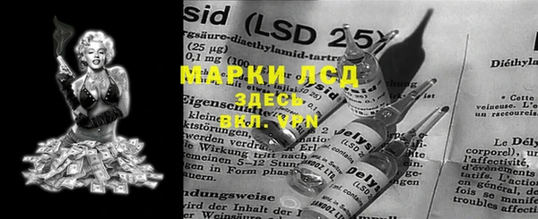индика Абаза